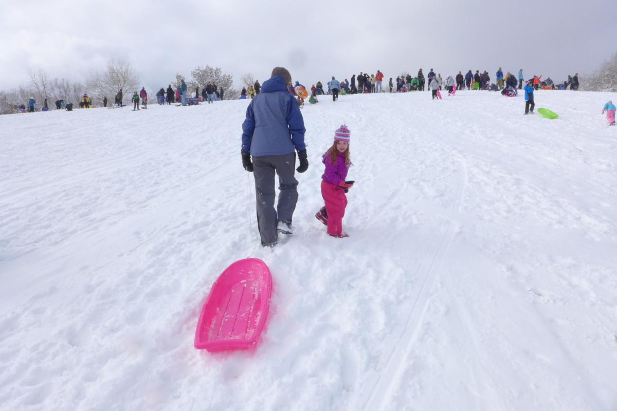 Families sledding at Scott Carpenter Park in Boulder