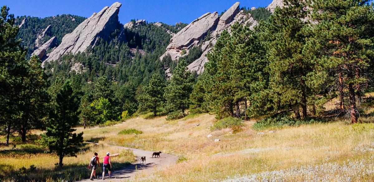 Flatirons hiking with dogs