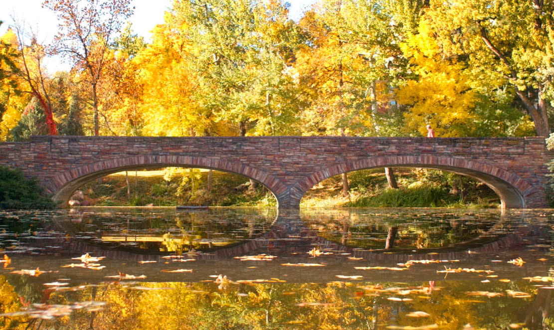 Varsity Lake & Bridge surrounded by trees turning yellow