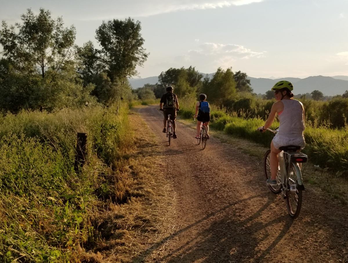 Family biking on road during a farm tour