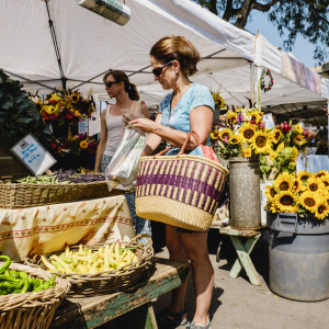 Woman Shops Boulder Farmers Market